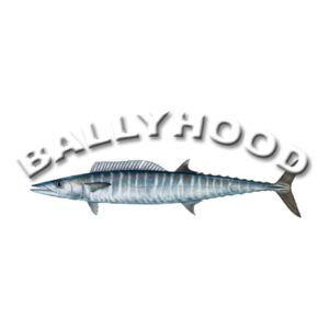 Ballyhood
