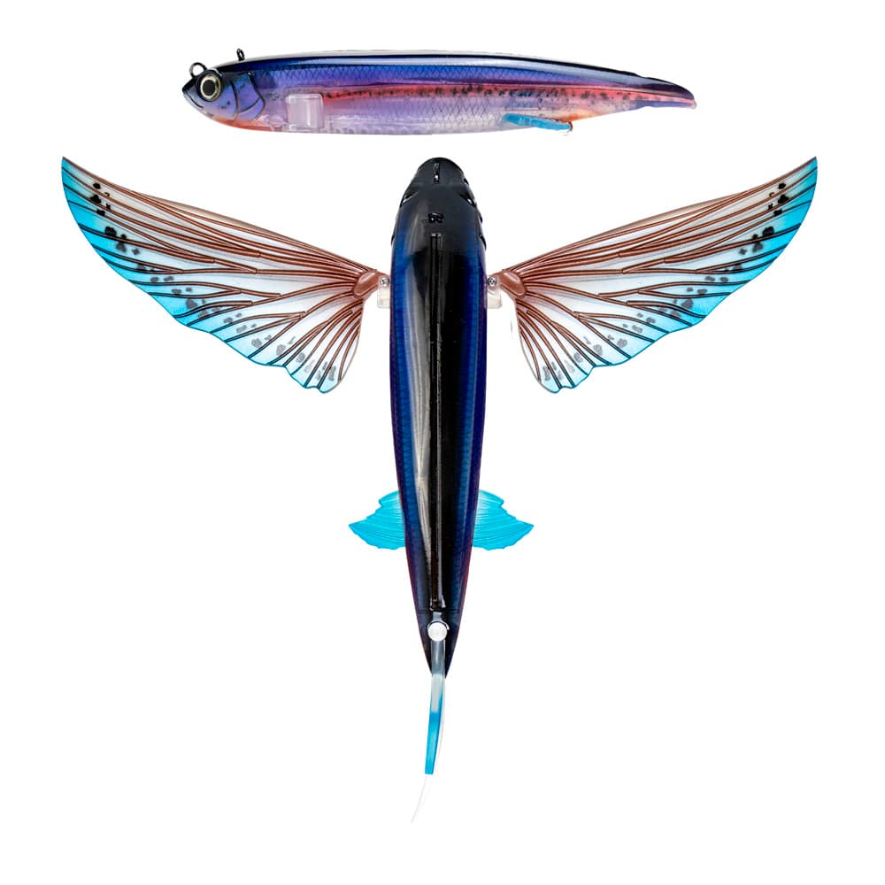 volador, Flying fish, Deep Sea Fishing Cancun, Flying fish …